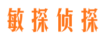 临高私人侦探